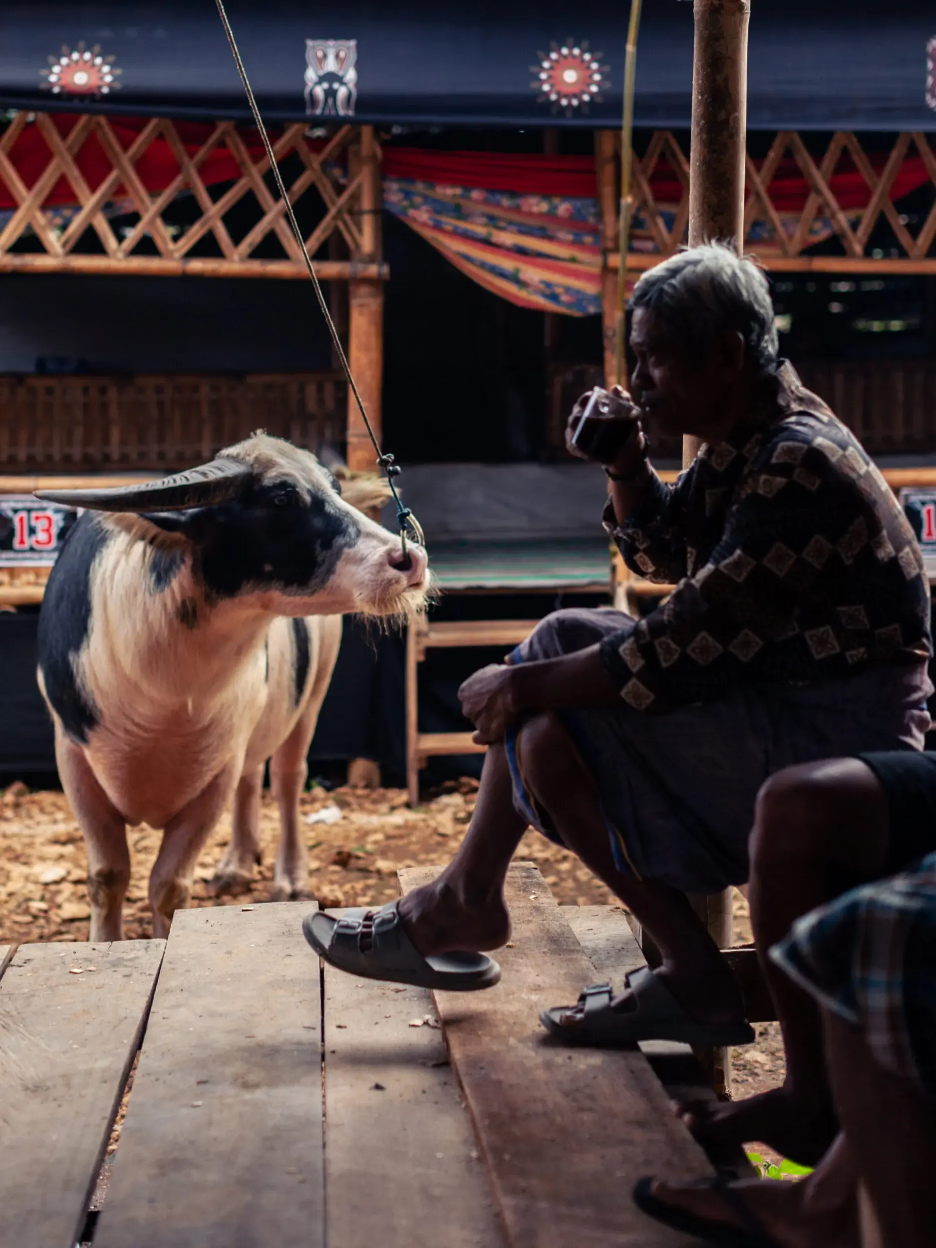 A man sitting on a wooden platform interacting with a cow in a rural setting.