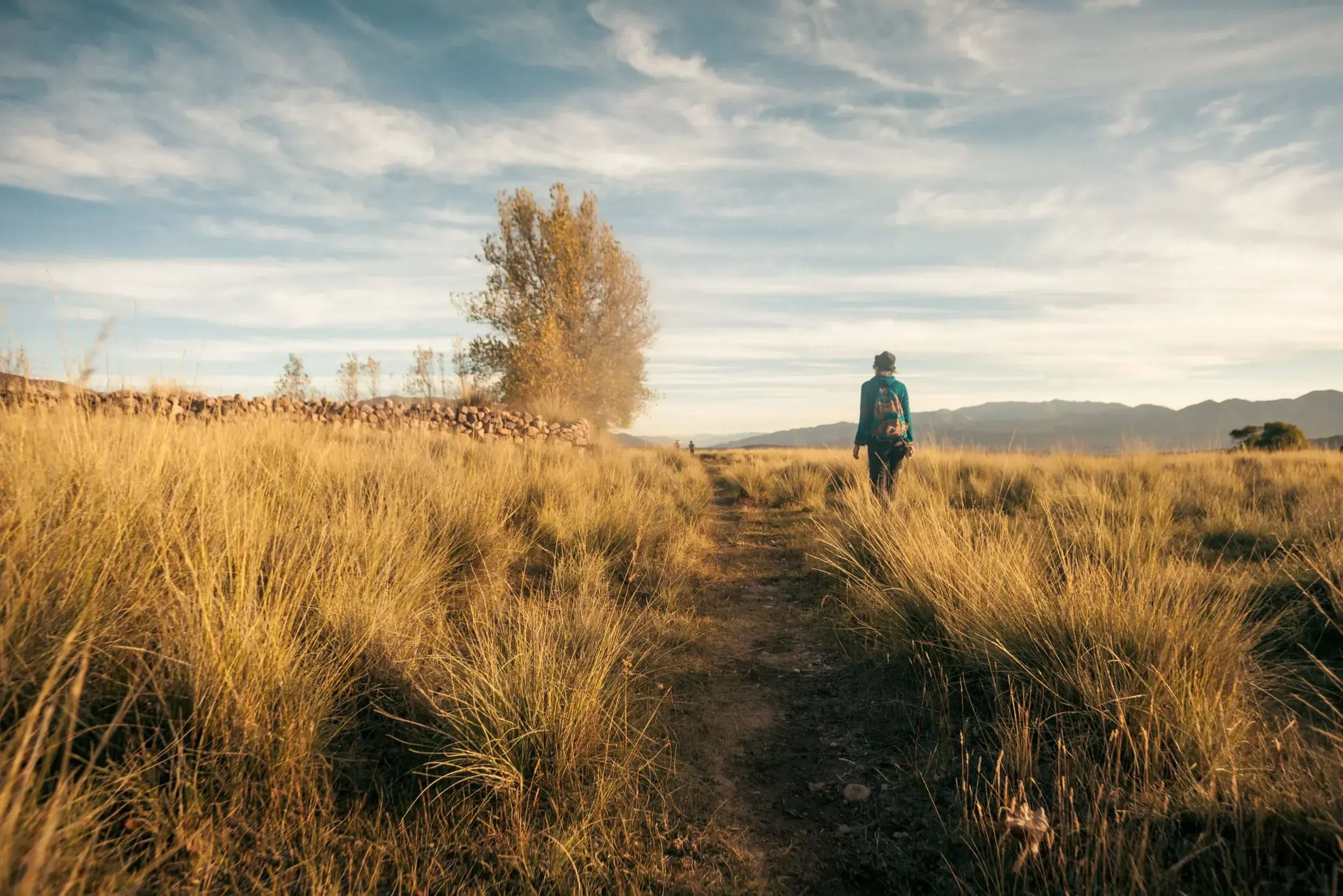 Hiker walking along a dirt path through golden grassland toward a lone tree in Argentina.