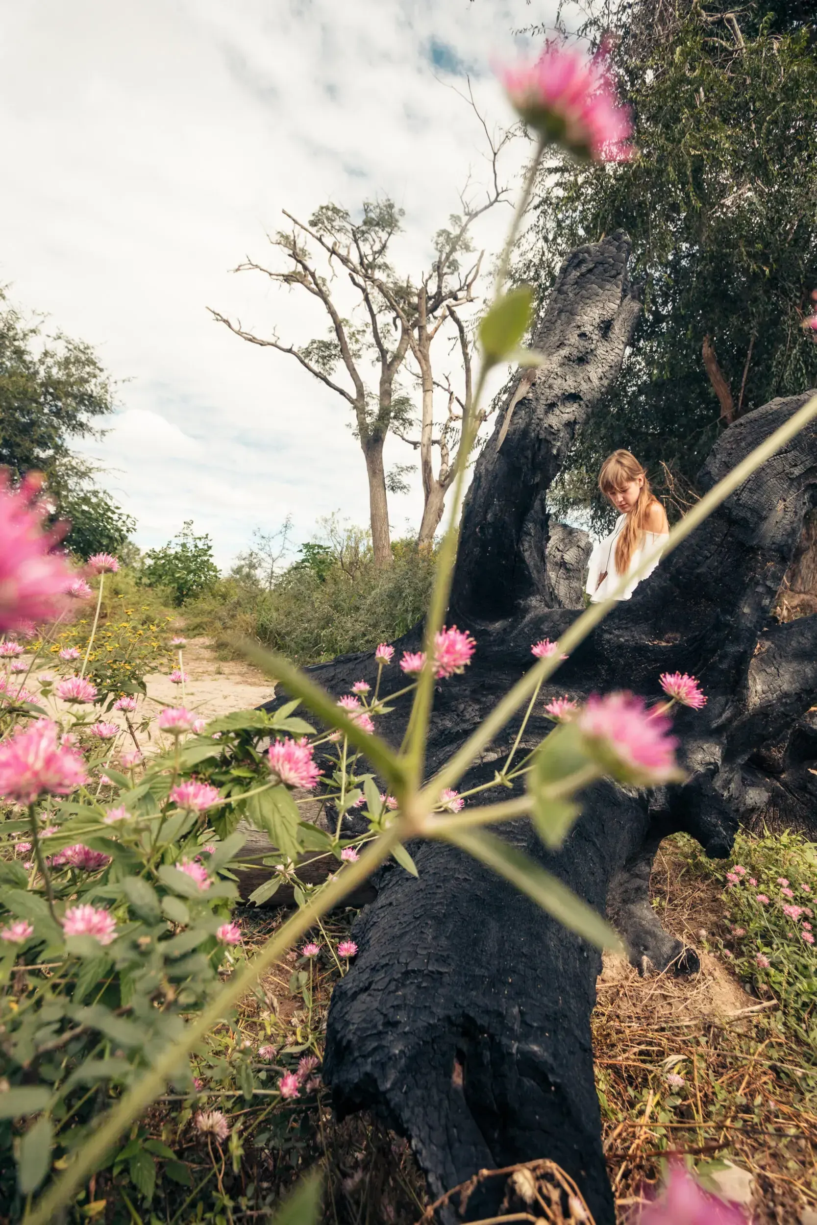 Woman sitting on a large burnt tree trunk, framed by pink wildflowers in Argentina.