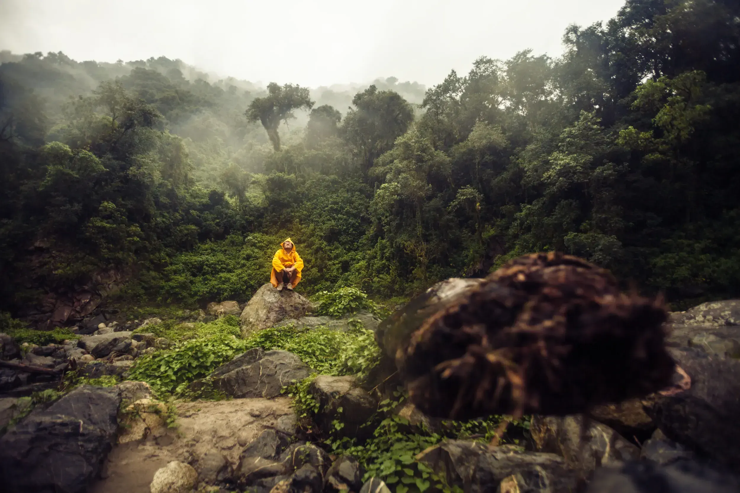 Person in a yellow raincoat sitting on a rock in a misty, green jungle valley in Argentina.