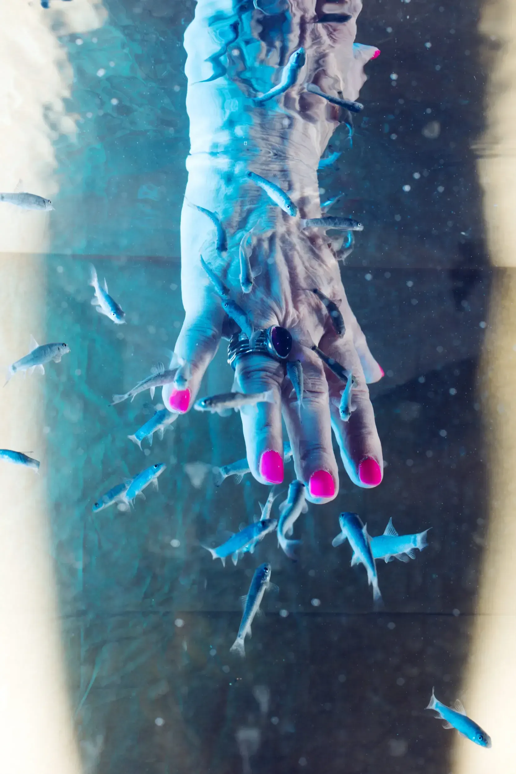 An elderly hand with pink-painted nails submerged in water and surrounded by small fish, the full-frame version of the 'Der Besuch der alten Dame' poster image.