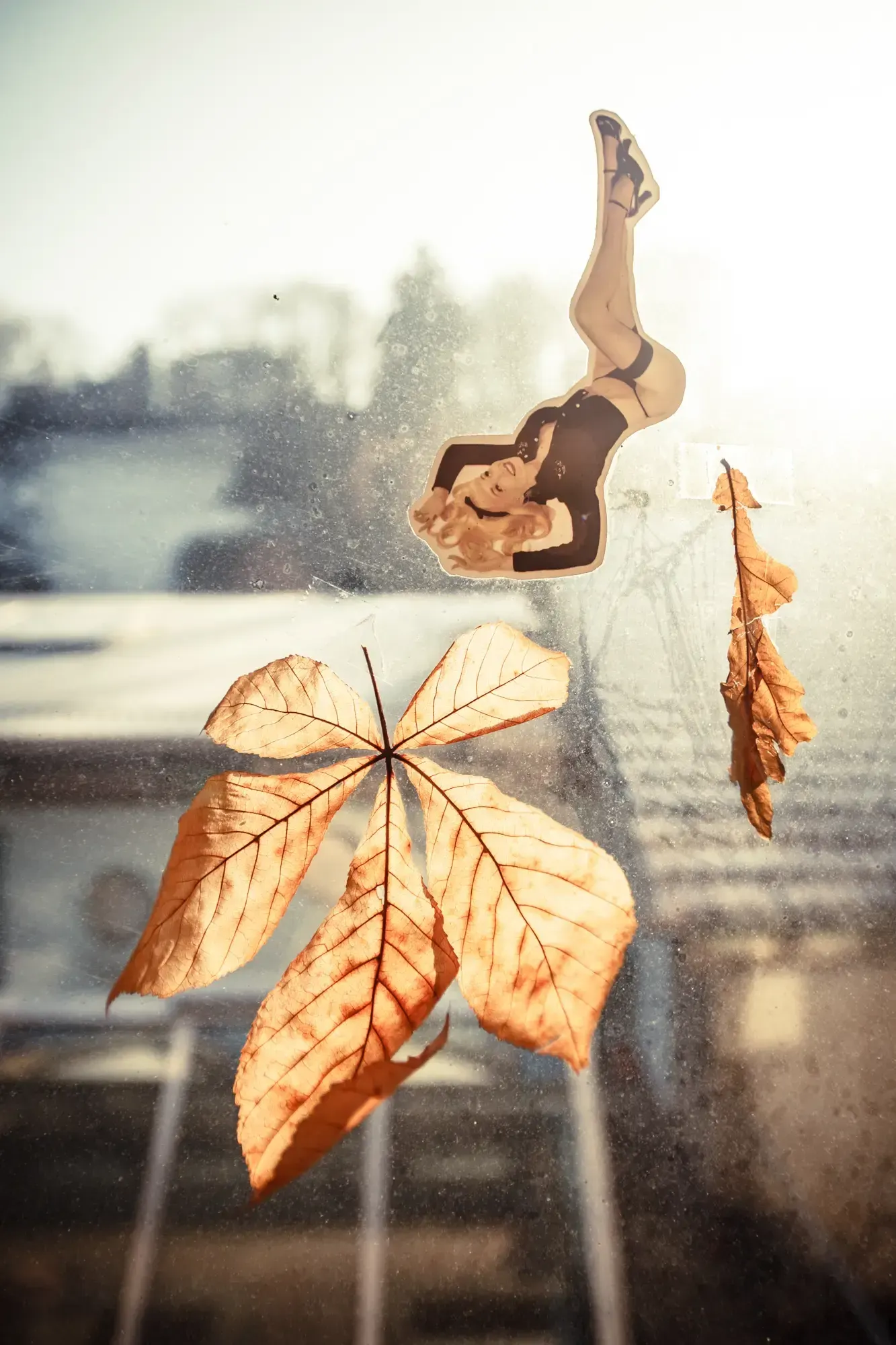 Pin-up sticker and a dried leaf stuck to a sunlit window pane.