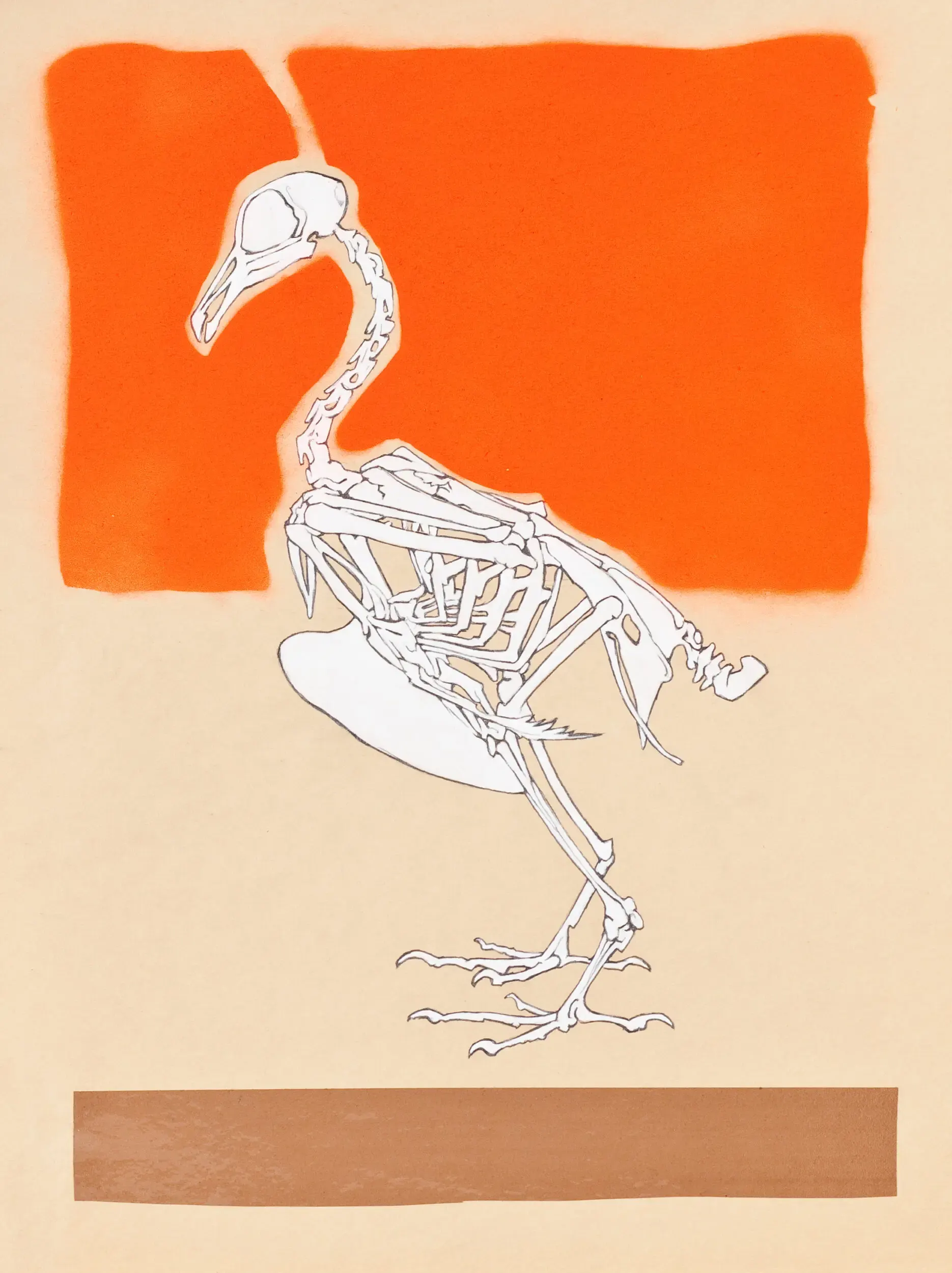 Vogelskelett-Illustration auf leuchtend orangefarbener Fläche