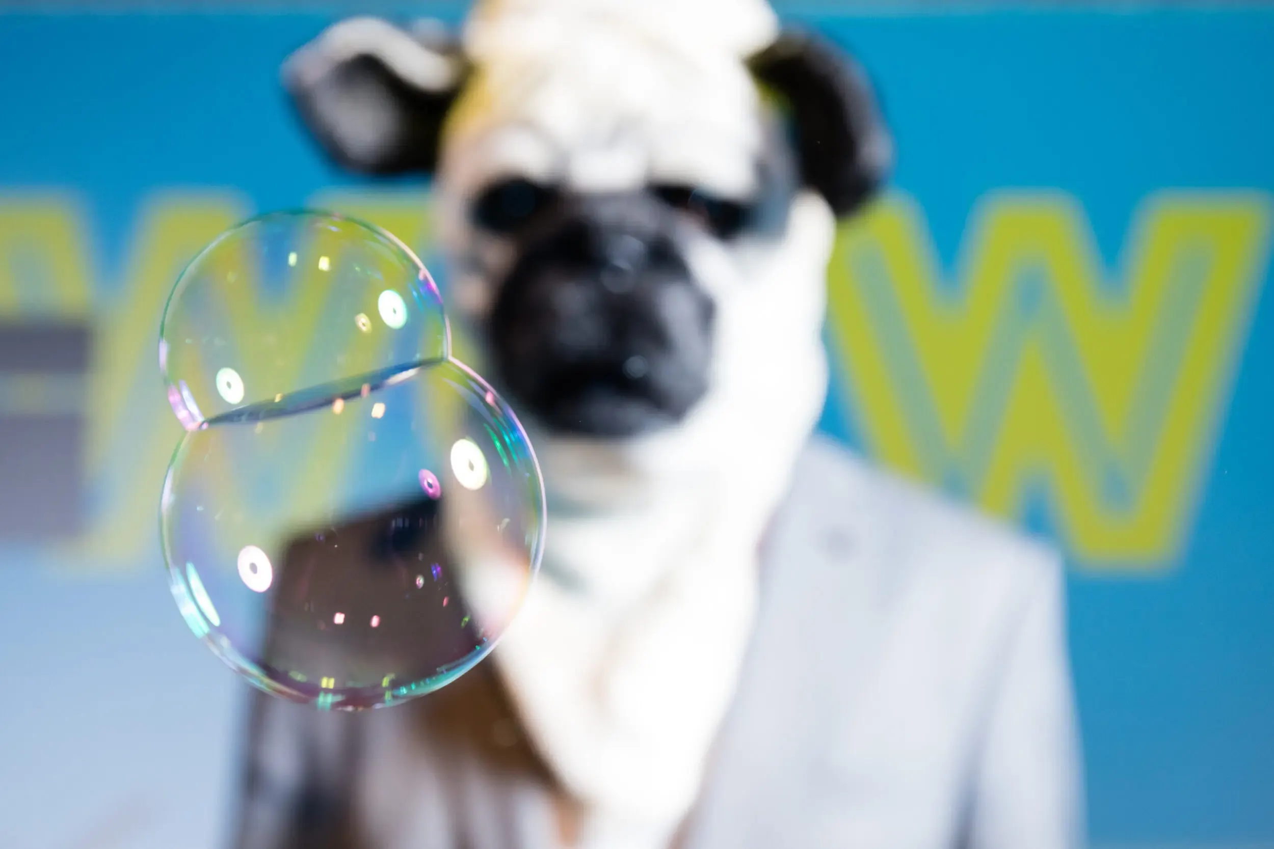 Guest in a pug mask and grey suit blowing bubbles in front of a 'WOW' backdrop.