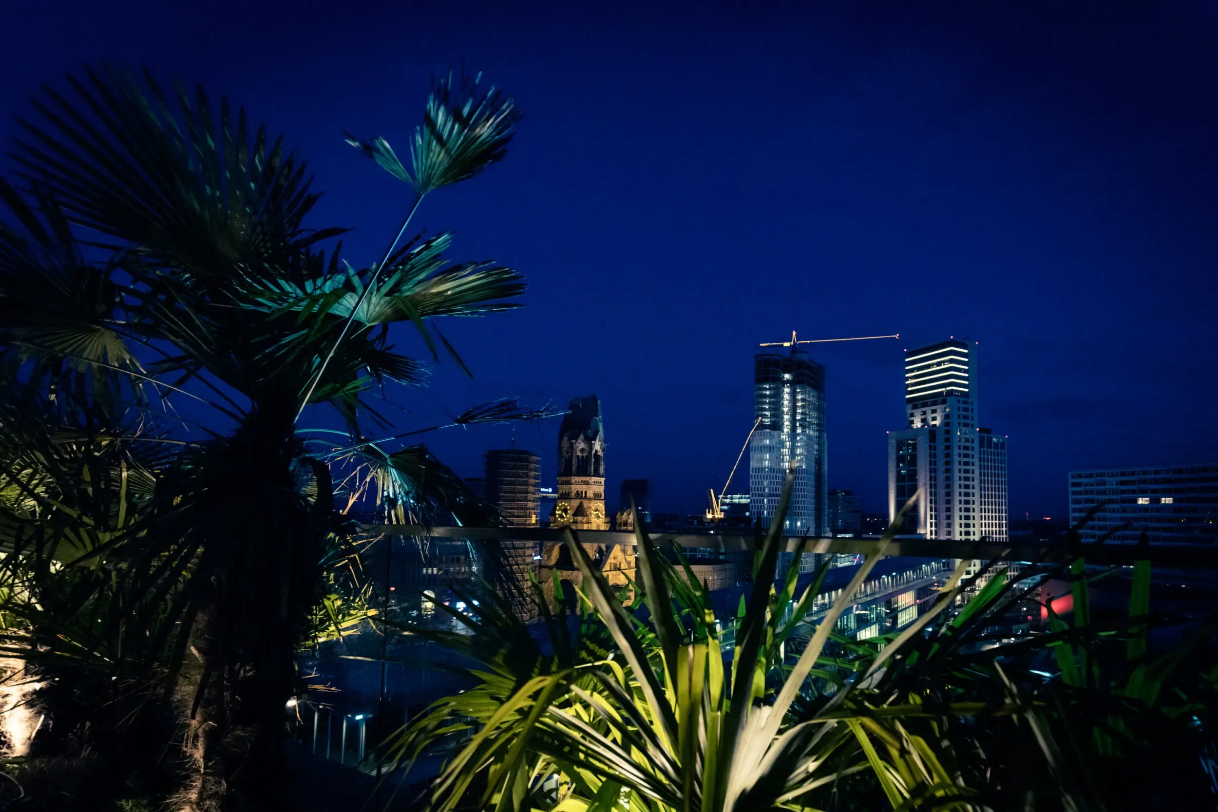 Costumed guest silhouetted on a rooftop terrace against the night skyline and palm trees.