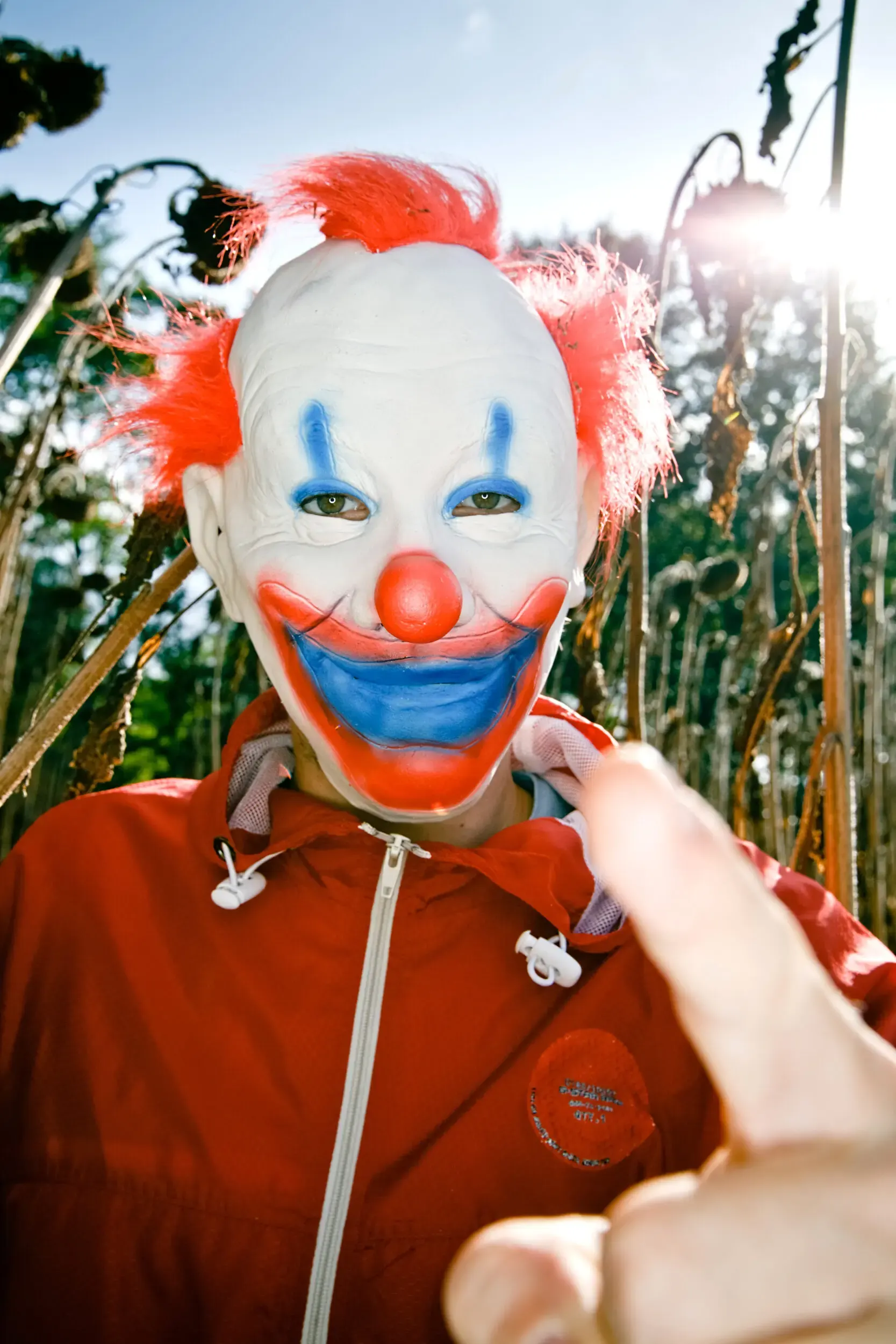 Person setzt eine Clownsmaske auf, Cross Section