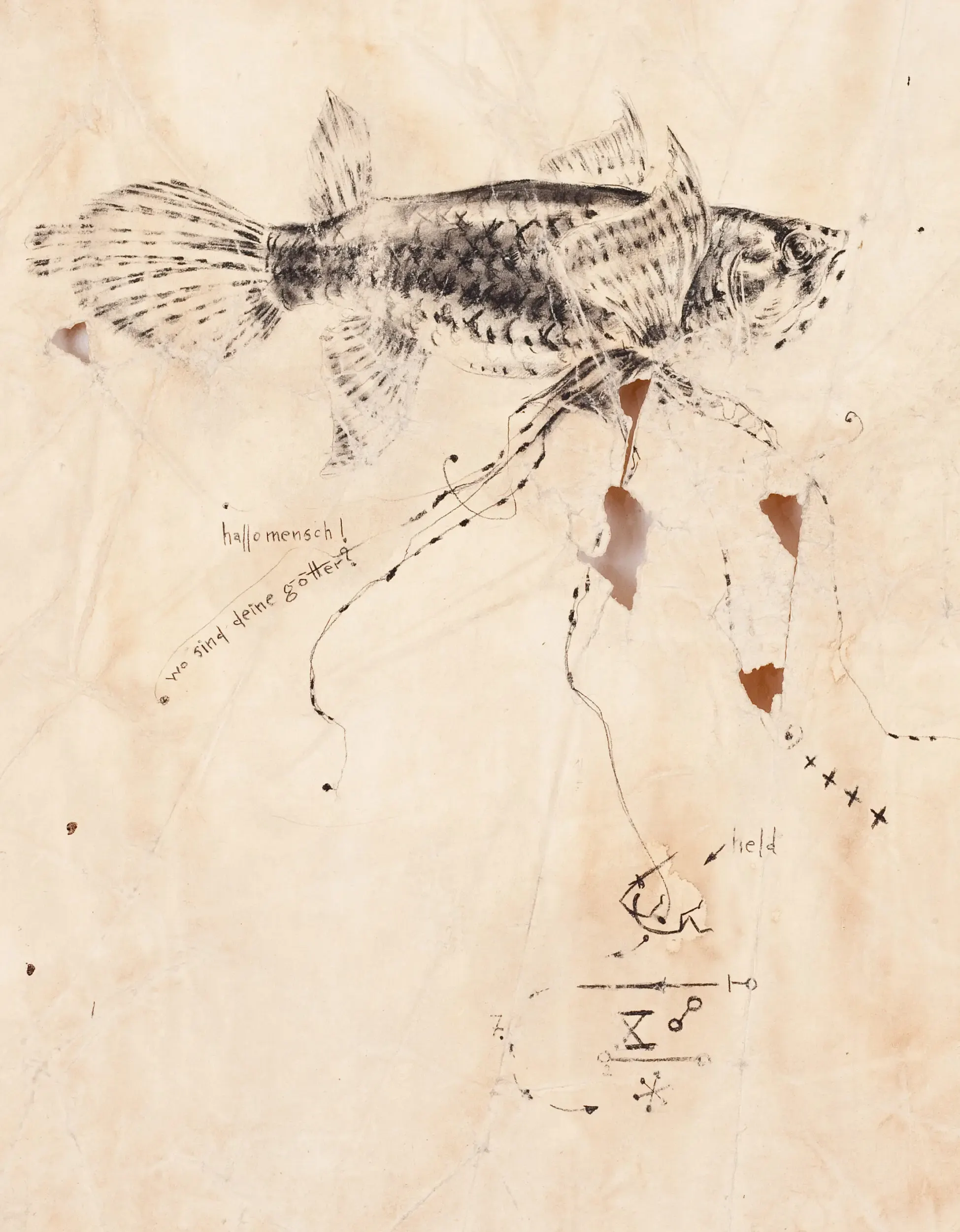 Fischskelett-Zeichnung mit angehängten Etiketten auf beigem Papier