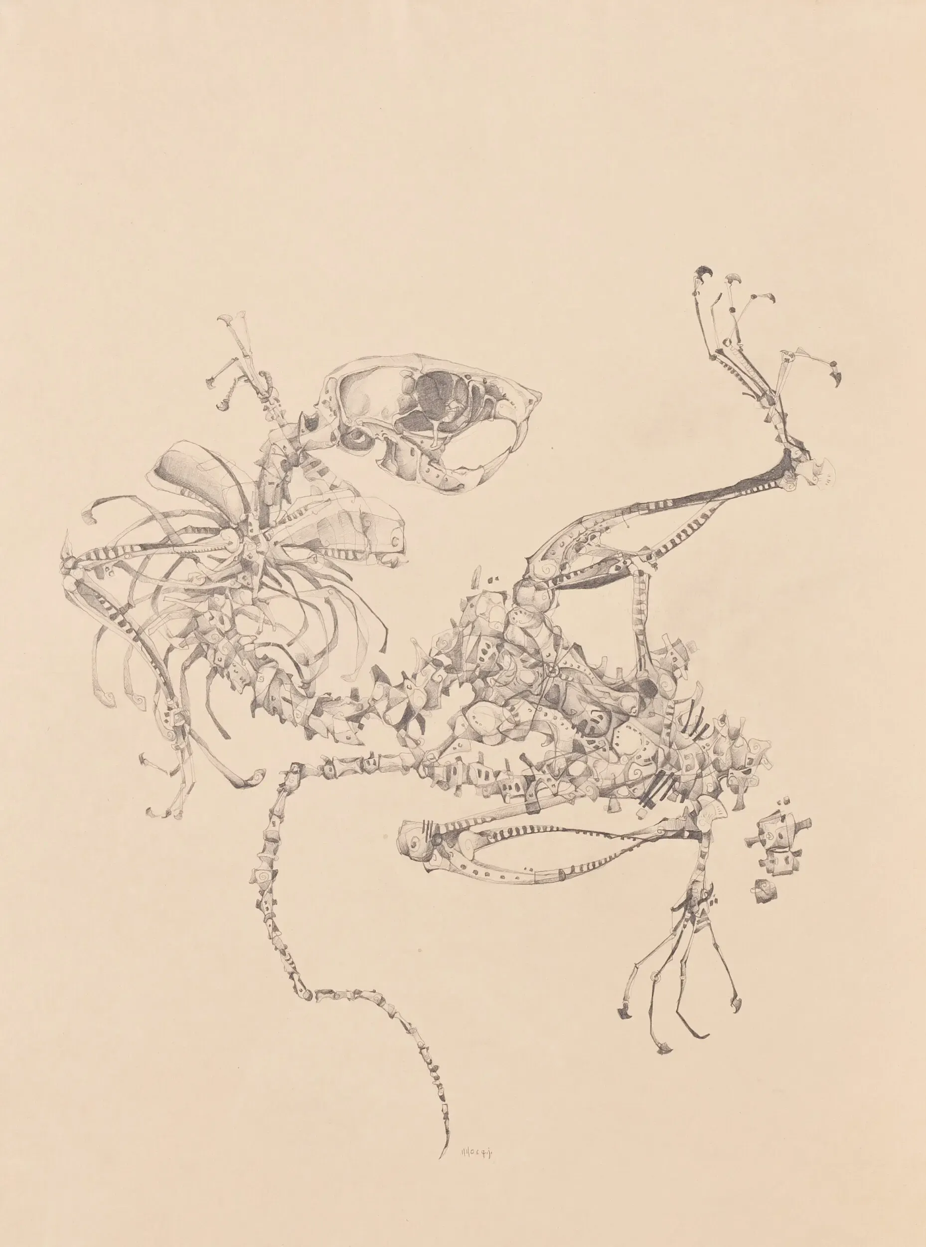 Komplexe Skelett-Illustration auf beigem Papier