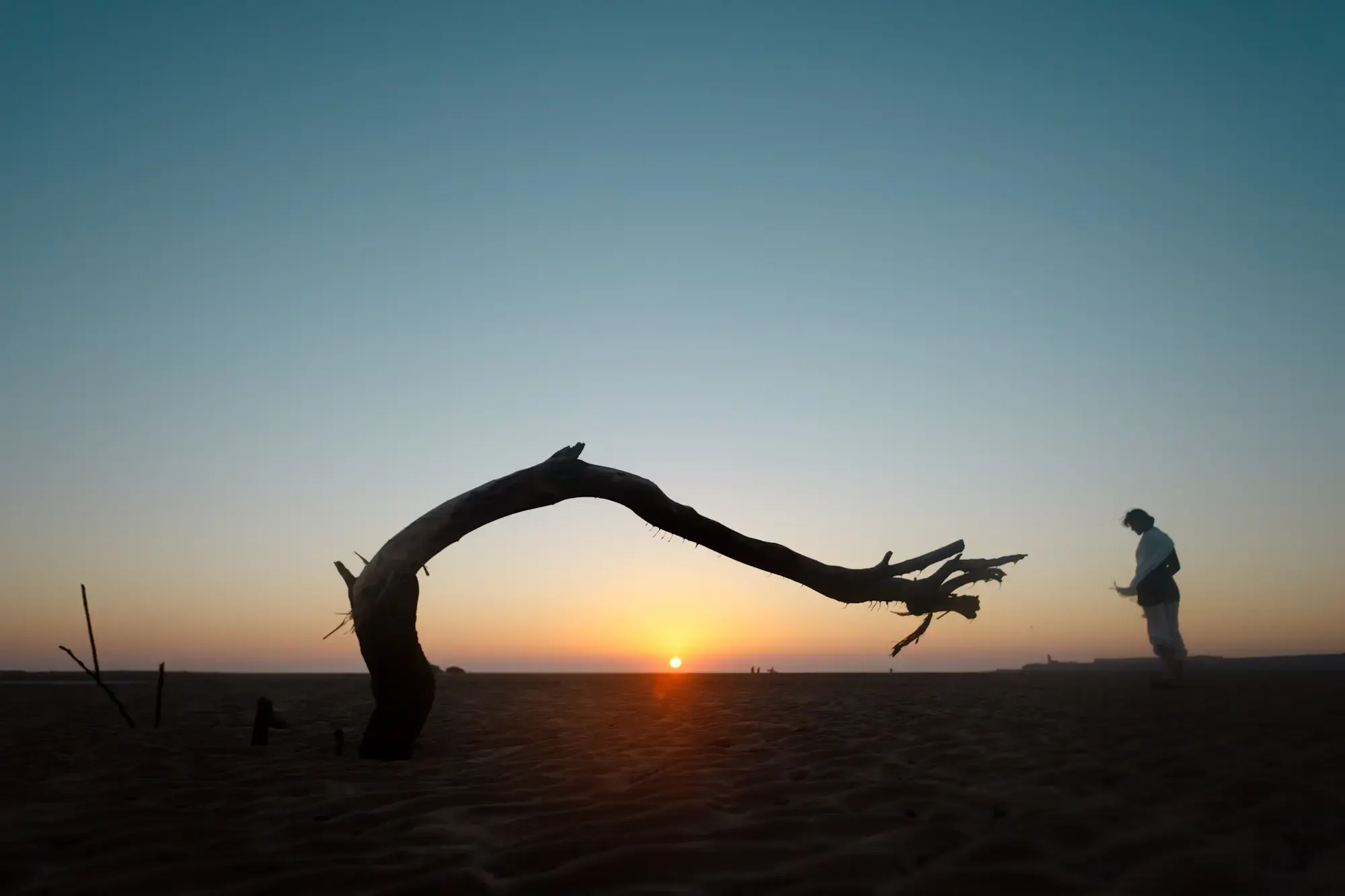 Silhouette eines gebogenen Astes bei Sonnenuntergang, Morocco Experience