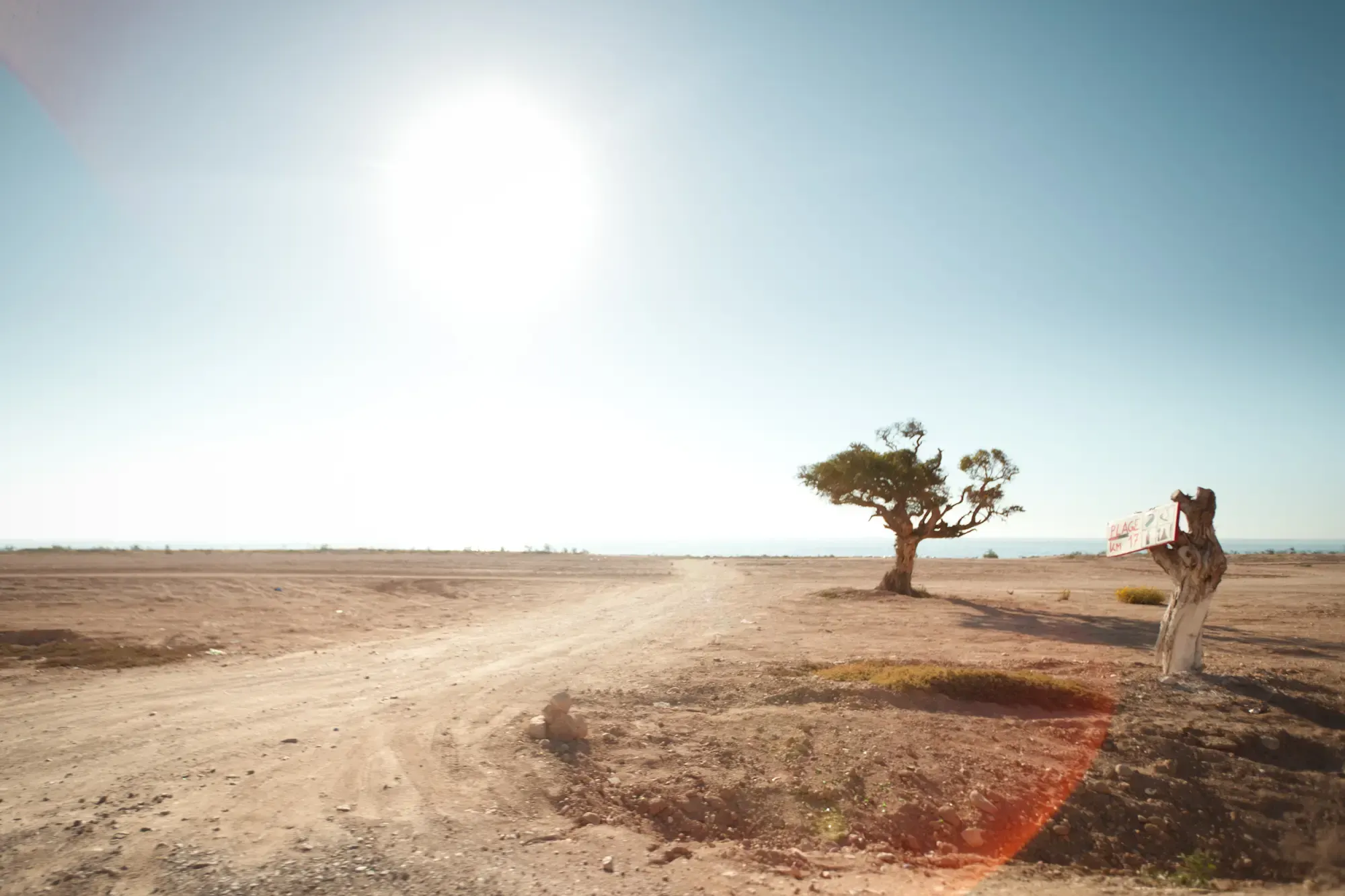 Wüstenstrasse mit einzelnem Baum und gehender Person, Morocco Experience