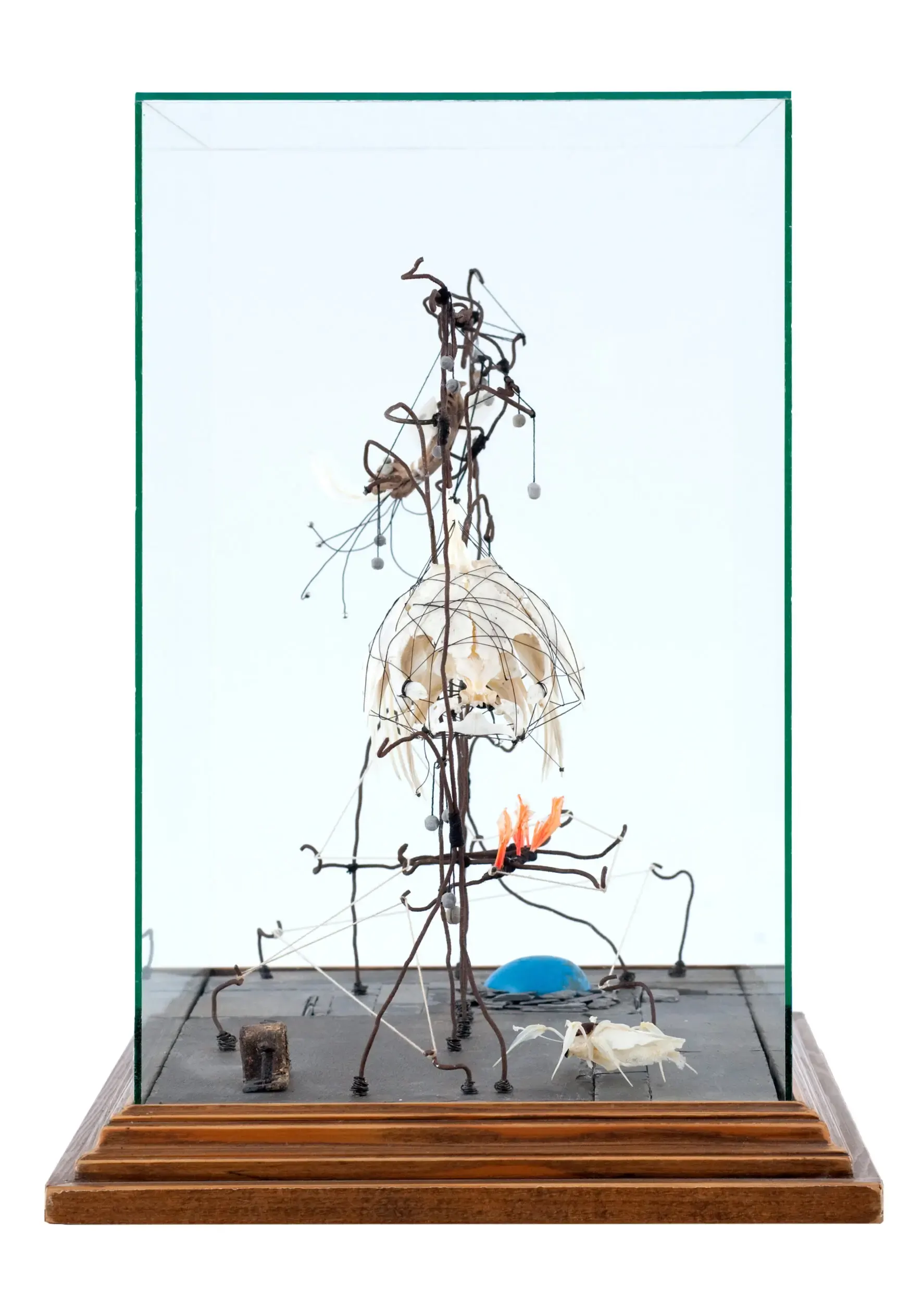 Einzelne Drahtfigur in einer Glasvitrine