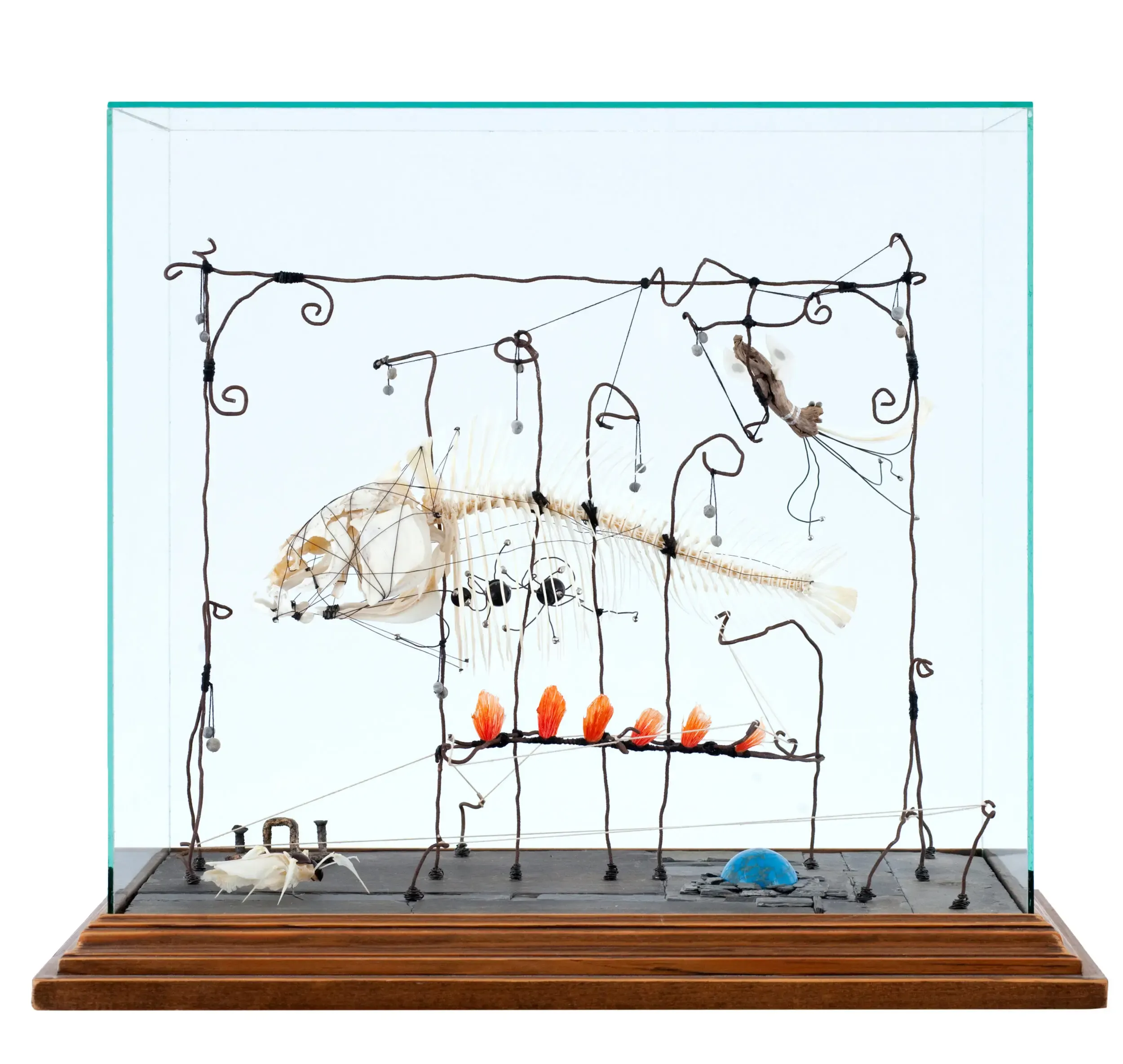 Drahtfiguren-Skulptur mit Fischskelett in Glasvitrine