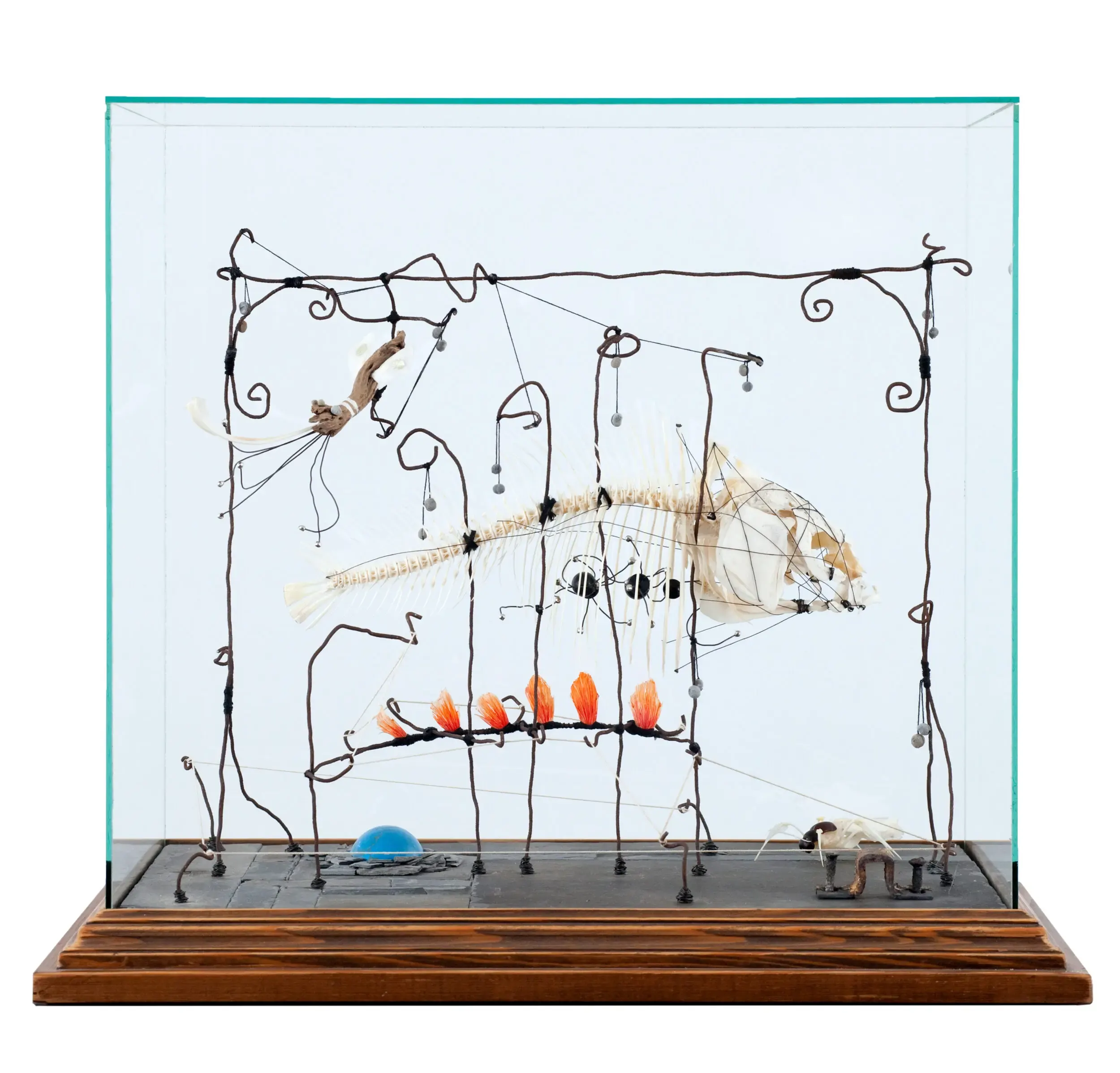 Drahtfiguren-Skulptur mit Fischskelett in Glasvitrine, zweite Ansicht