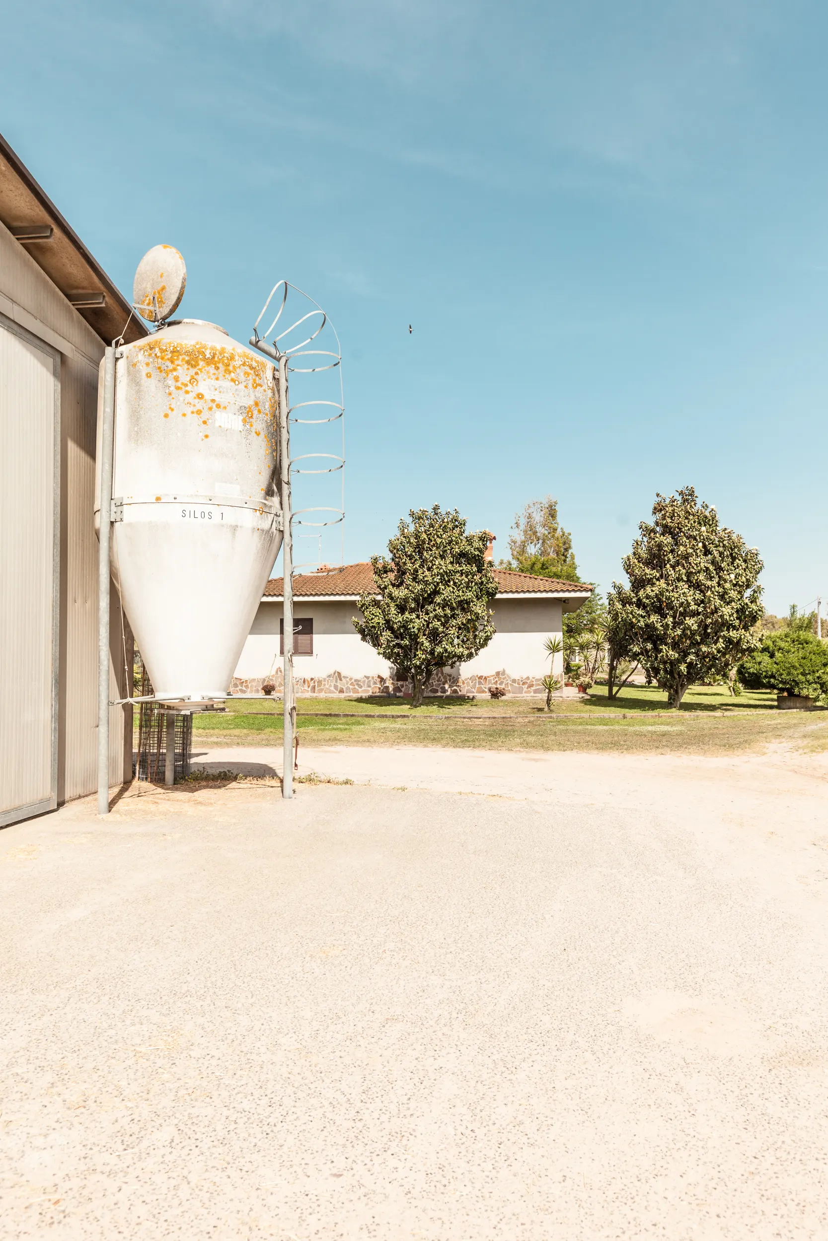 Landwirtschaftliches Gebäude mit Silo, Sardasol