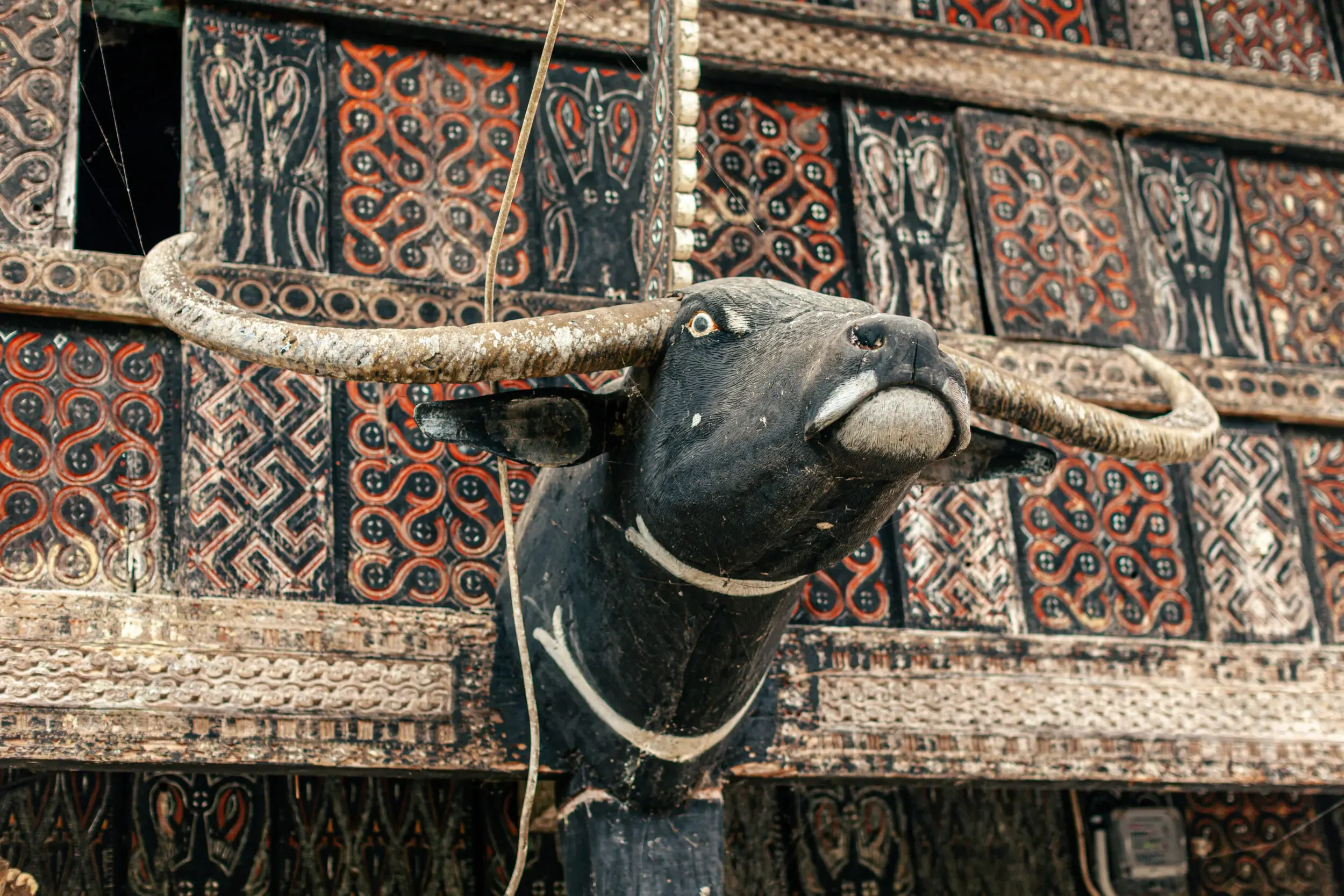 Geschnitzter Büffelkopf an einem traditionellen Tongkonan-Haus, Sulawesi