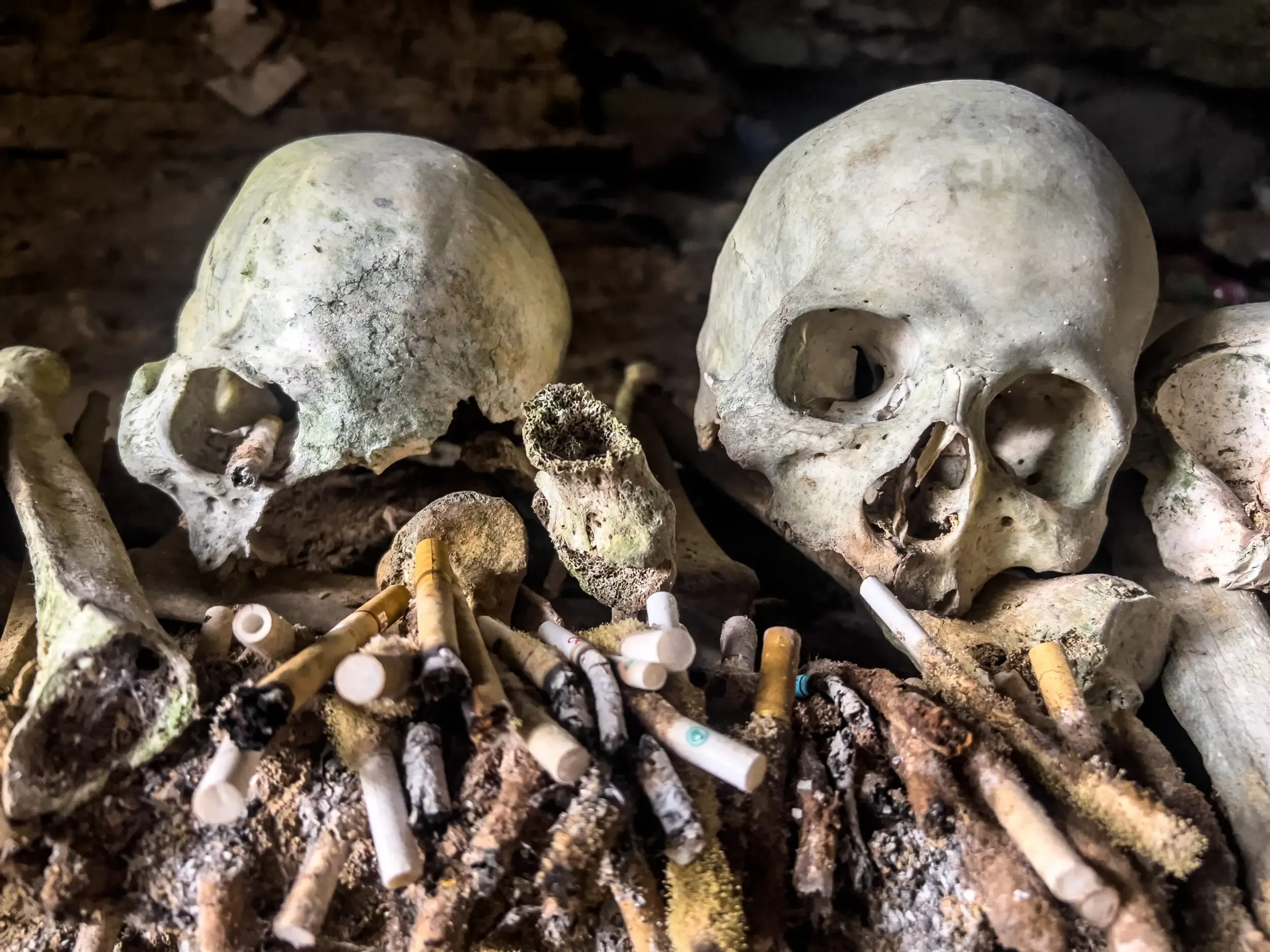 Zwei Schädel mit Zigaretten an einer Grabstätte, Sulawesi