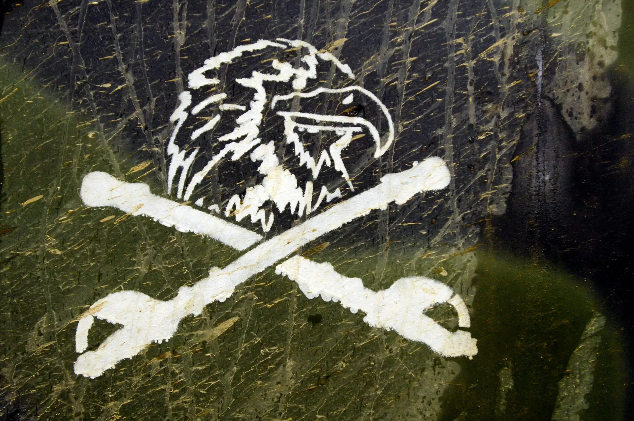 Weathered eagle-and-crossbones emblem stenciled on military equipment.