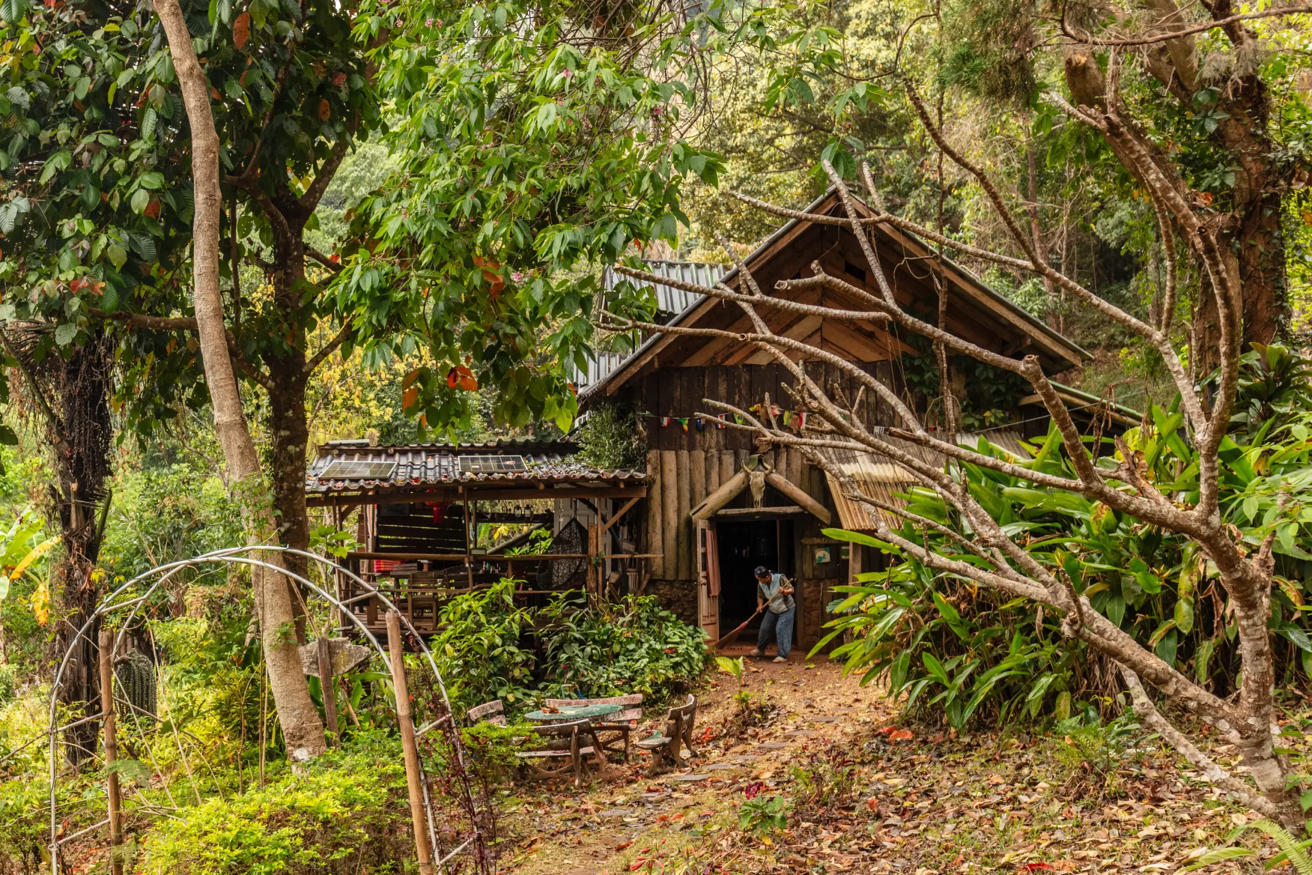 Verlassenes, überwuchertes Holzhaus im Wald