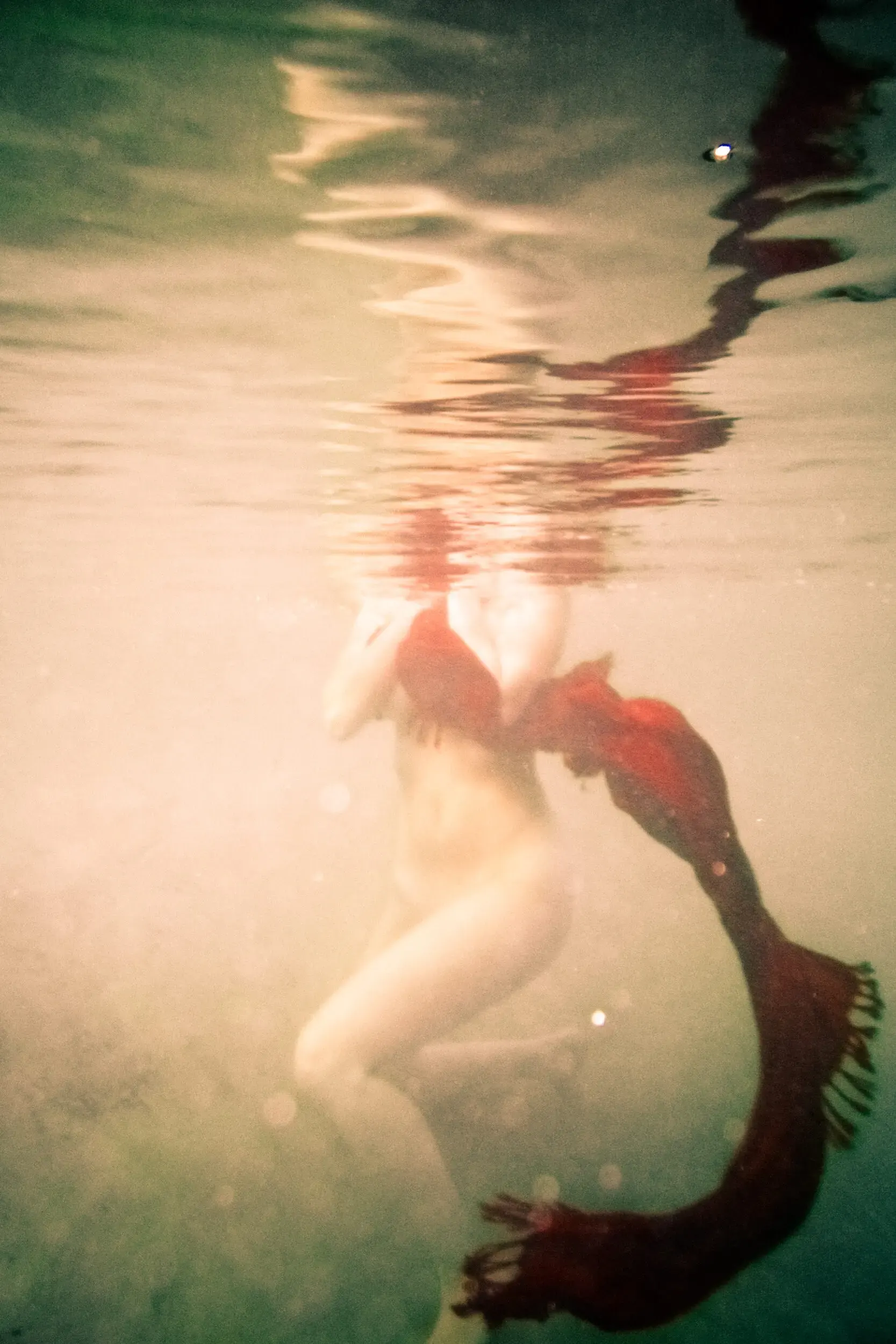 Traumhafte Unterwasseraufnahme einer Frau in Rosatönen, under(water) love