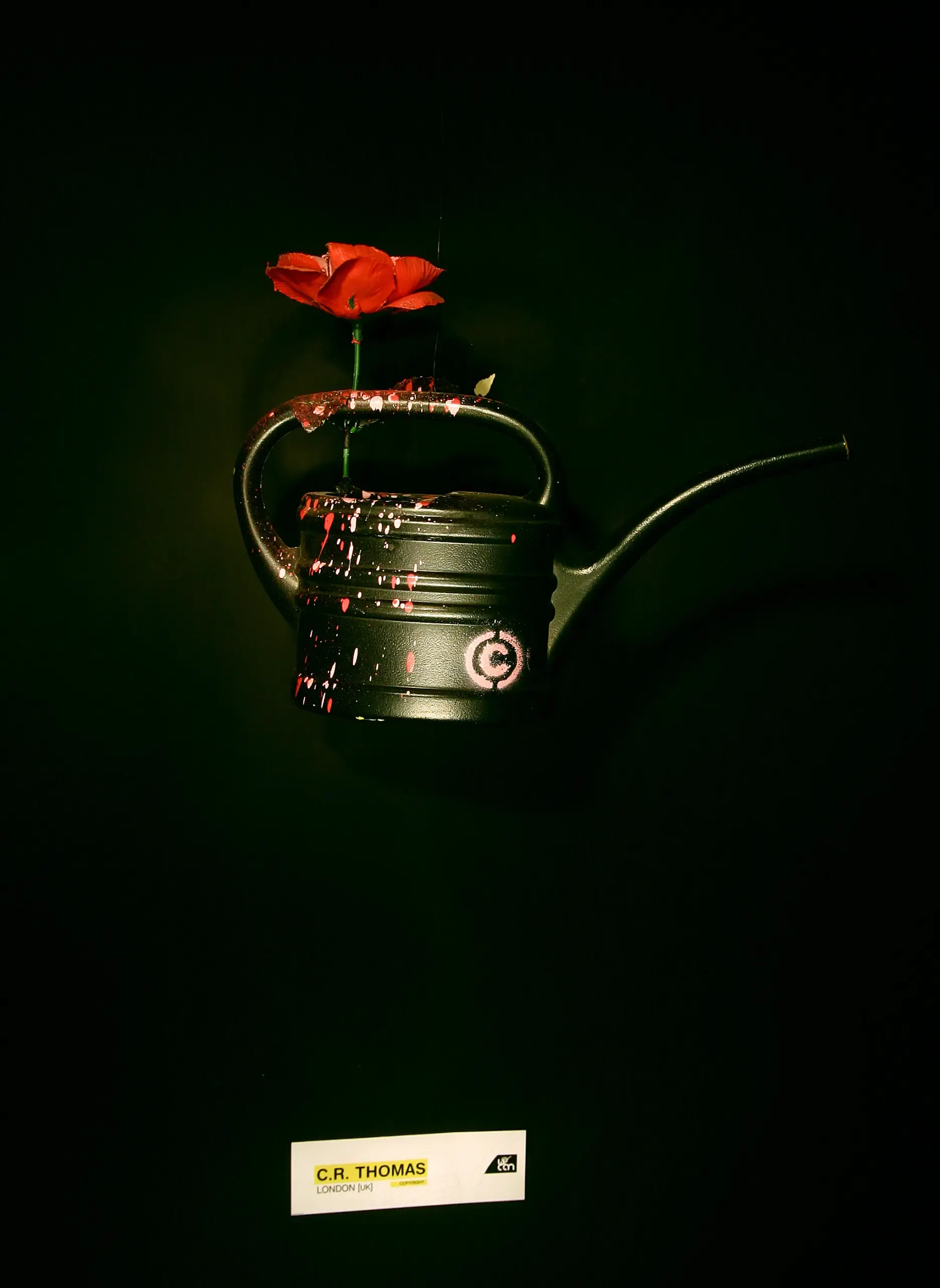 Schwarze „Can“-Skulptur mit roter Blüte, Werk „Copyright“