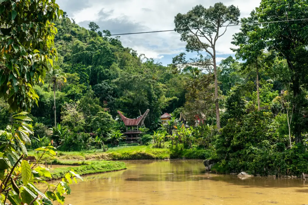 Traditional Toraja houses with distinctive roofs set amidst dense greenery and a calm water body.